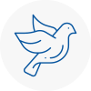 Bird Prevention Harold Hill