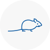 Mice Exterminators In Harold Hill