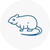 Rat Control Harold Hill