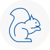 Harold Hill Rodent Removals