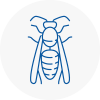 Harold Hill Wasp Nest Removal